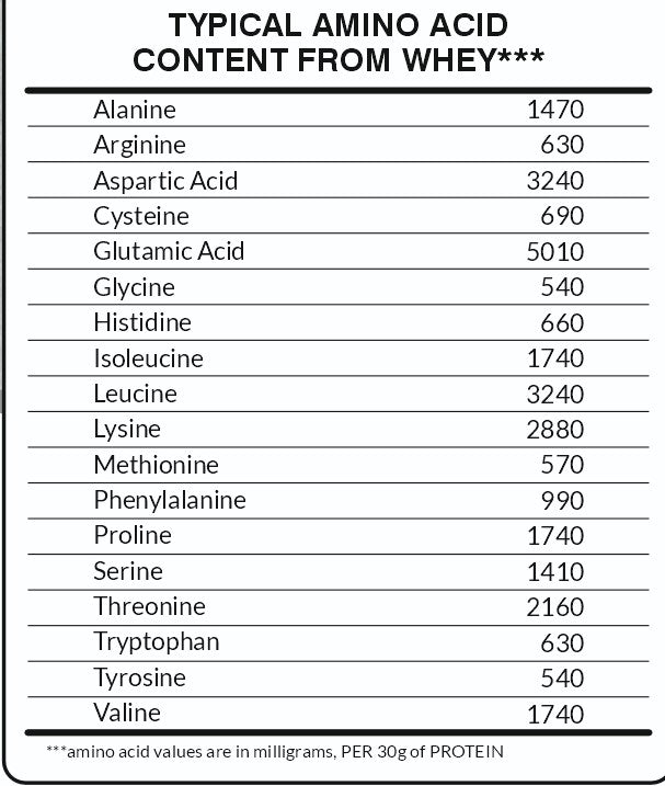 Performance Whey Protein Concentrate with Digestive Enzymes - 24g Protein, 6g BCAA, 5g Glutamine - (Kesar Kaju Pista, 1kg / 2.2lb - 33 Servings)